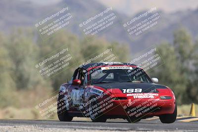 media/Oct-12-2025-Lucky Dog Racing (Sun) [[8adb5568ea]]/3-Third    Stint/1-Turn 7/